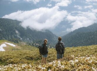 Borrowed Lives: The Quiet Intimacy of Travel